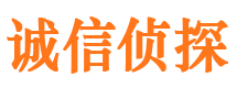 碌曲市私人侦探